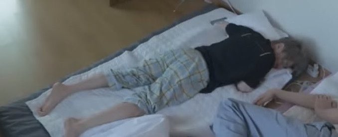 모닝 꼬순내 견 모음집