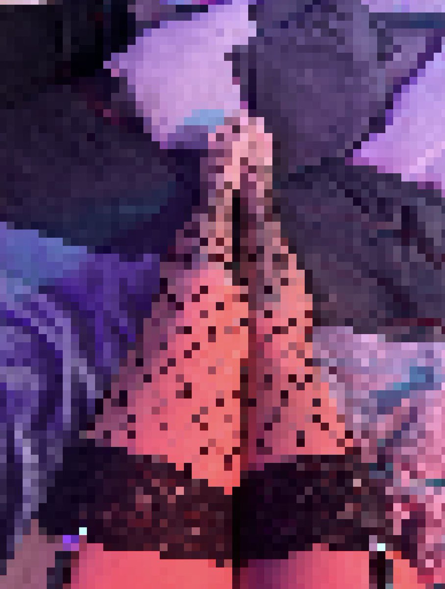 Goood morning hoes <3

Femboy domme