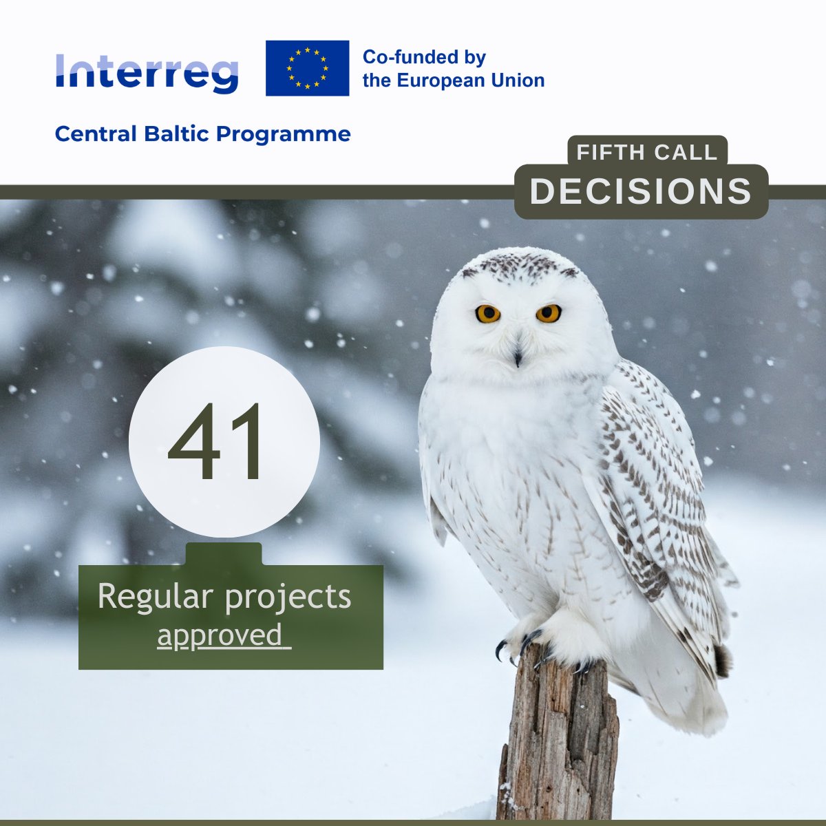CentralBaltic's tweet photo. The Monitoring Committee has approved 60 projects for funding under the Fifth Call of the Central Baltic Programme. 

👉 Read more: https://t.co/wpYfOZvnOn https://t.co/qNPdALupA9