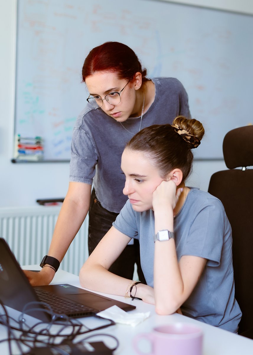 Codemart tweet media