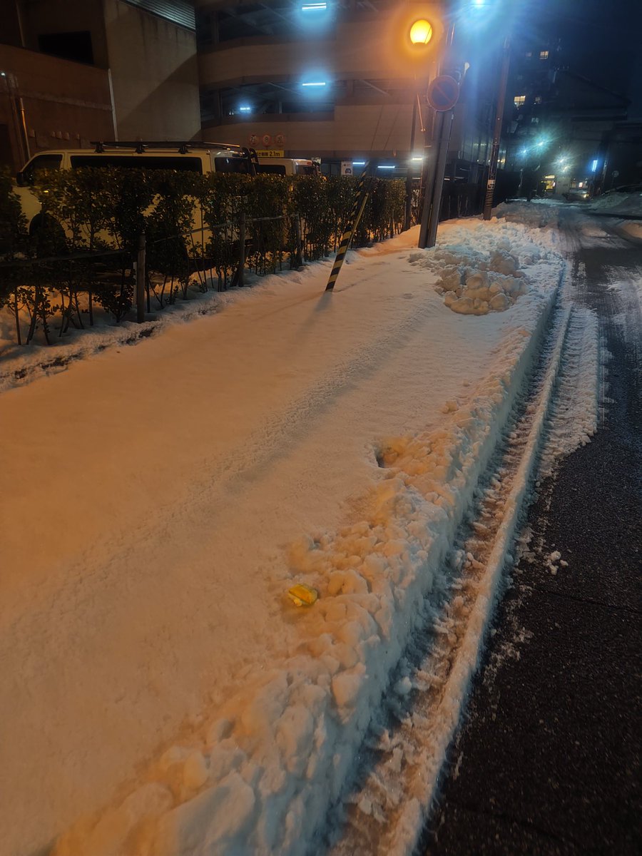 うーん。
結構、雪が積もってるな。
大阪じゃなかなか体験できないね。