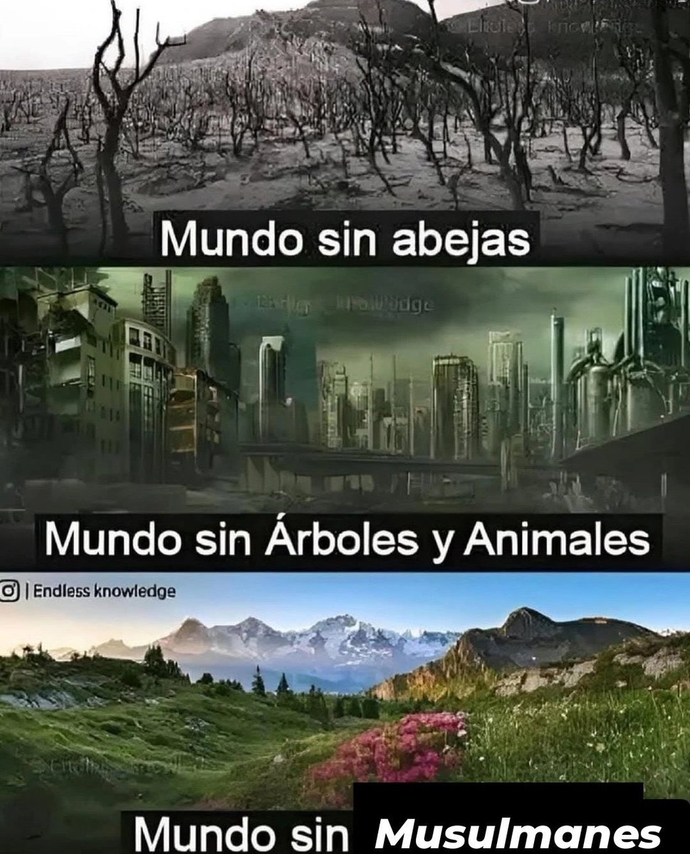 Millxn265's tweet image. 