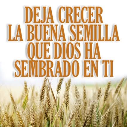 RuizHurtadoRE's tweet photo. EL QUE #LEA LA PALABRA DE DIOS Y LA #PRACTIQUE, DARÁ MUCHOS FRUTOS! "Aprovechen las enseñanzas que reciben, que son un don del cielo, y siempre estén unidos en el Señor." -PADRE PÍO- https://t.co/VEz5E20Rbv