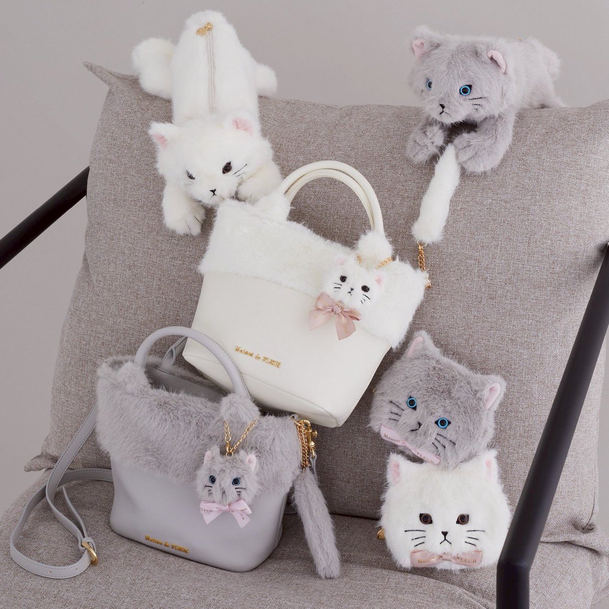 目つきが可愛いwww🐱🩷🩶 ̖́-