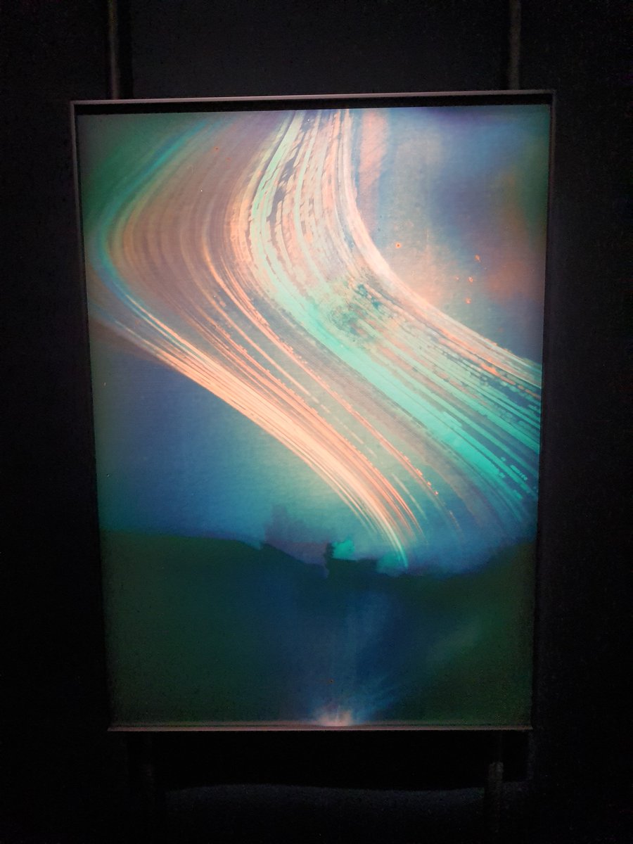 diffchen1123's tweet image. 📷  🌅  🩸