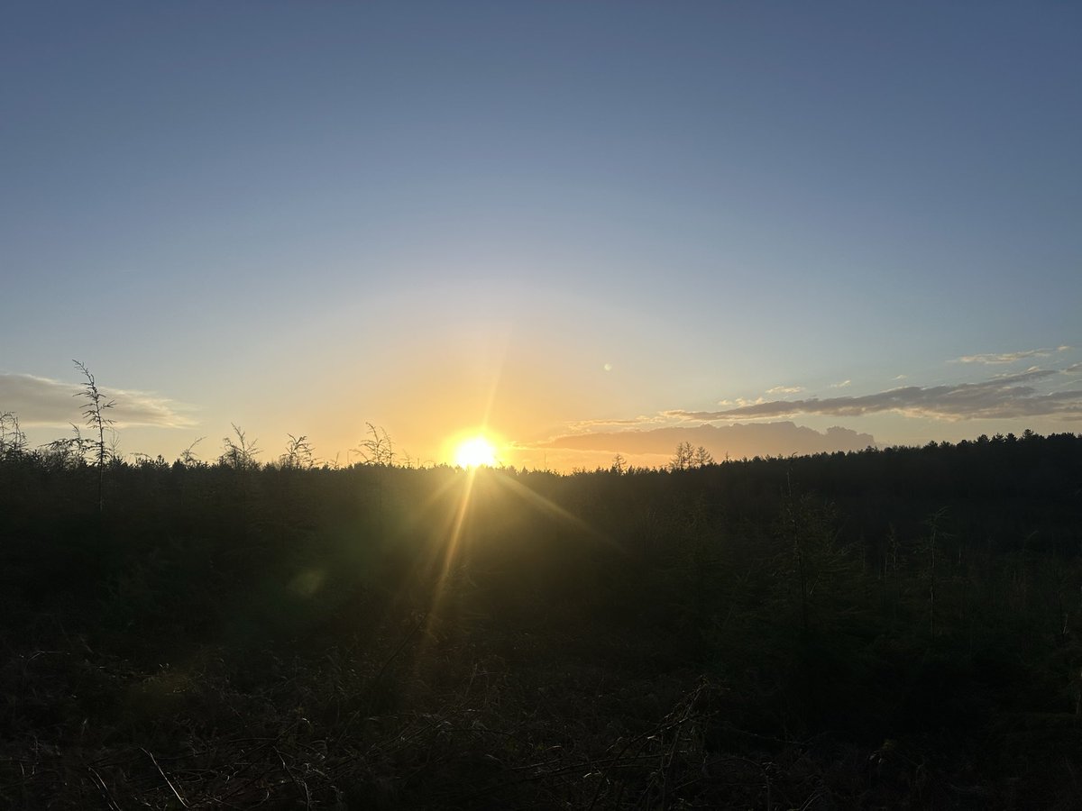 Chantal MayoHollaway tweet media