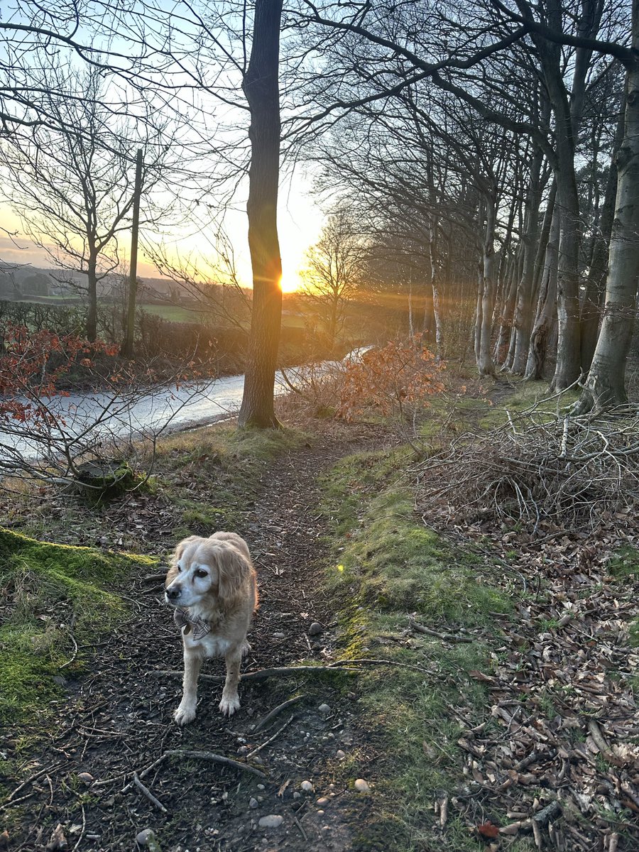 Chantal MayoHollaway tweet media