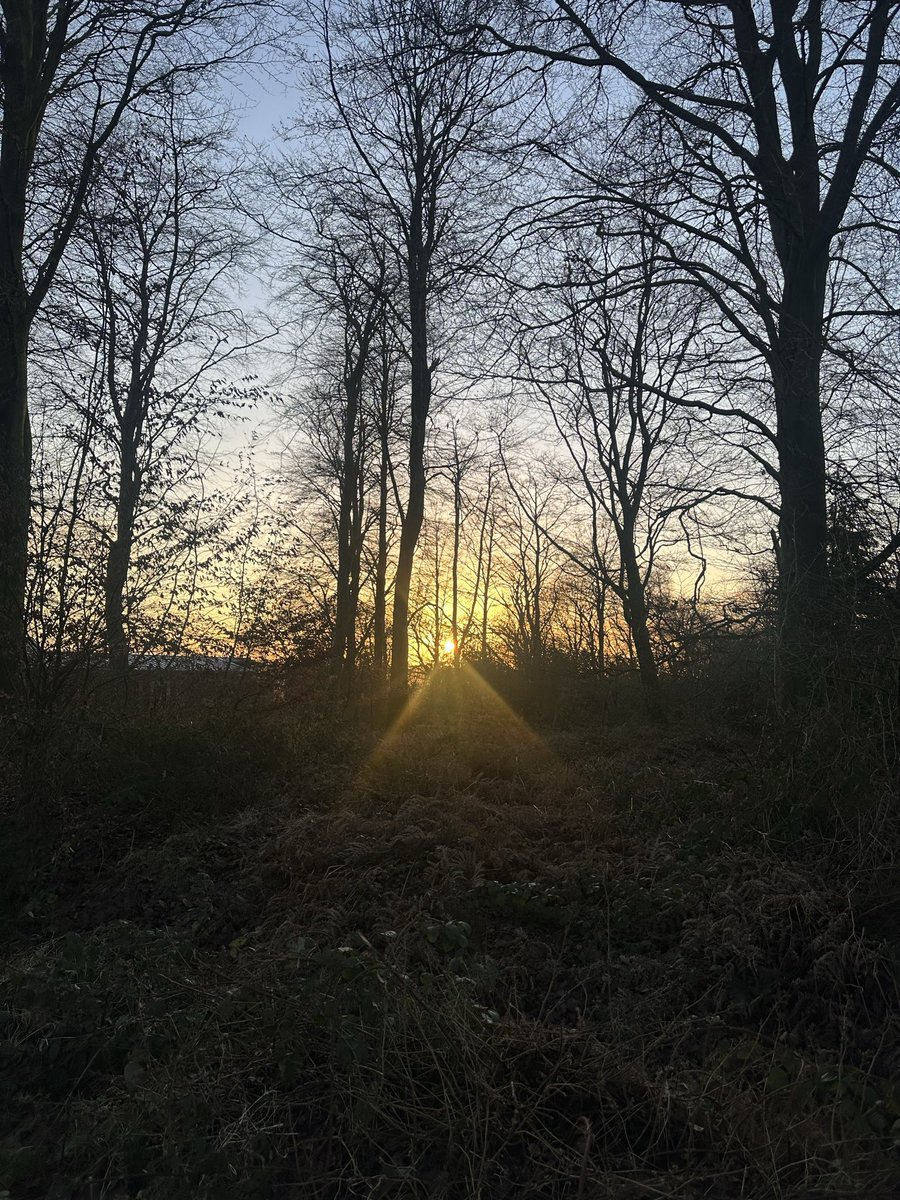 Chantal MayoHollaway tweet media