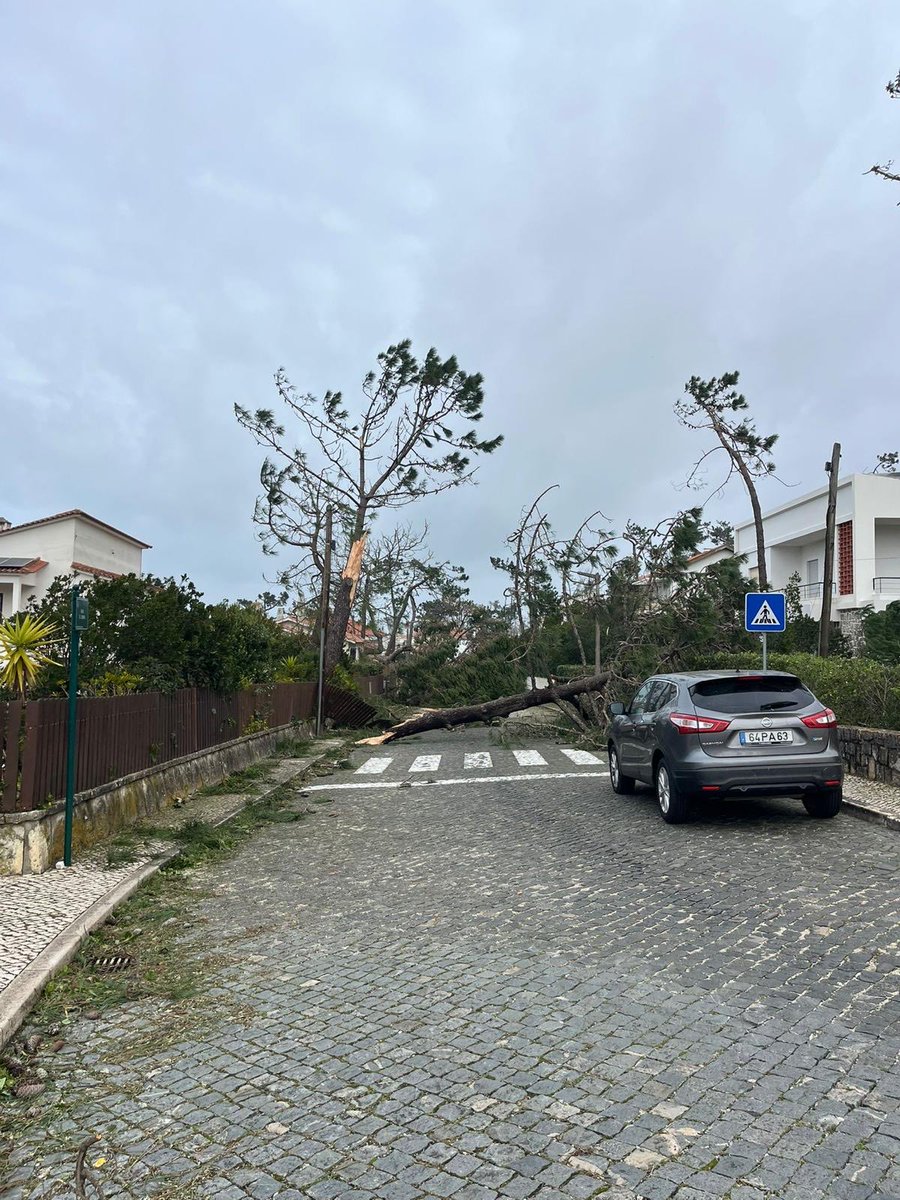 Sergio Silvestre 🇵🇹🇪🇺🇺🇦 tweet media