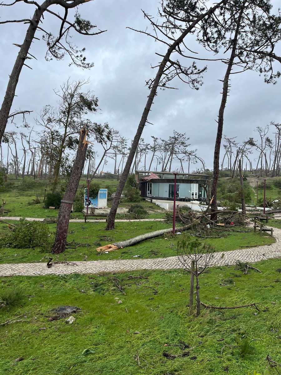 Sergio Silvestre 🇵🇹🇪🇺🇺🇦 tweet media