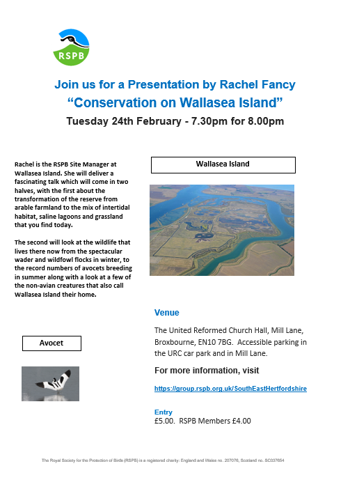 Volunteers Officer tweet media