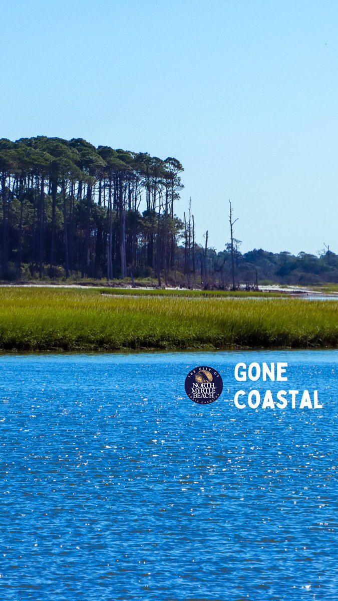 North Myrtle Beach tweet media