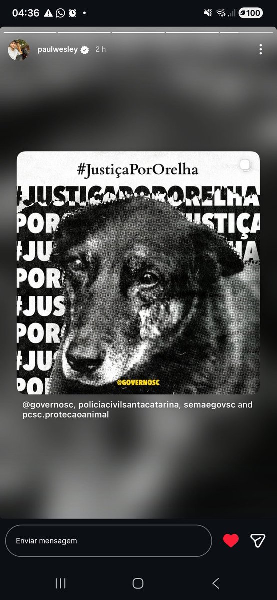 poptime's tweet image. Paul Wesley, o Stefan em The Vampire Diaries, e a sua esposa, compartilharam post pedindo justiça pelo doguinho Orelha.