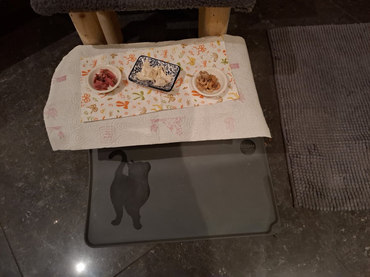 Pfreunde,ich pin hpchzupfrieden mit der Kanzlei <a href="/ArkoPalypse/">Maya und Mimi 🐾 Anwälte spez. Leckermangel</a> ❤️ 
Schaut mal,mein heutikes Abendessen nach deren Einsatz : Rostpeepf, Hühnchenpfilet und Norseekrappen 😀
Keht doch,Mama,keht doch!