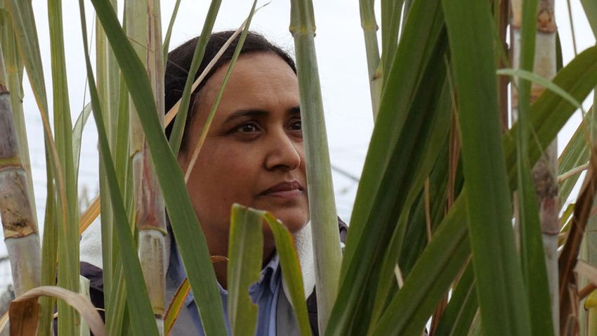 Vicente Monroy tweet media