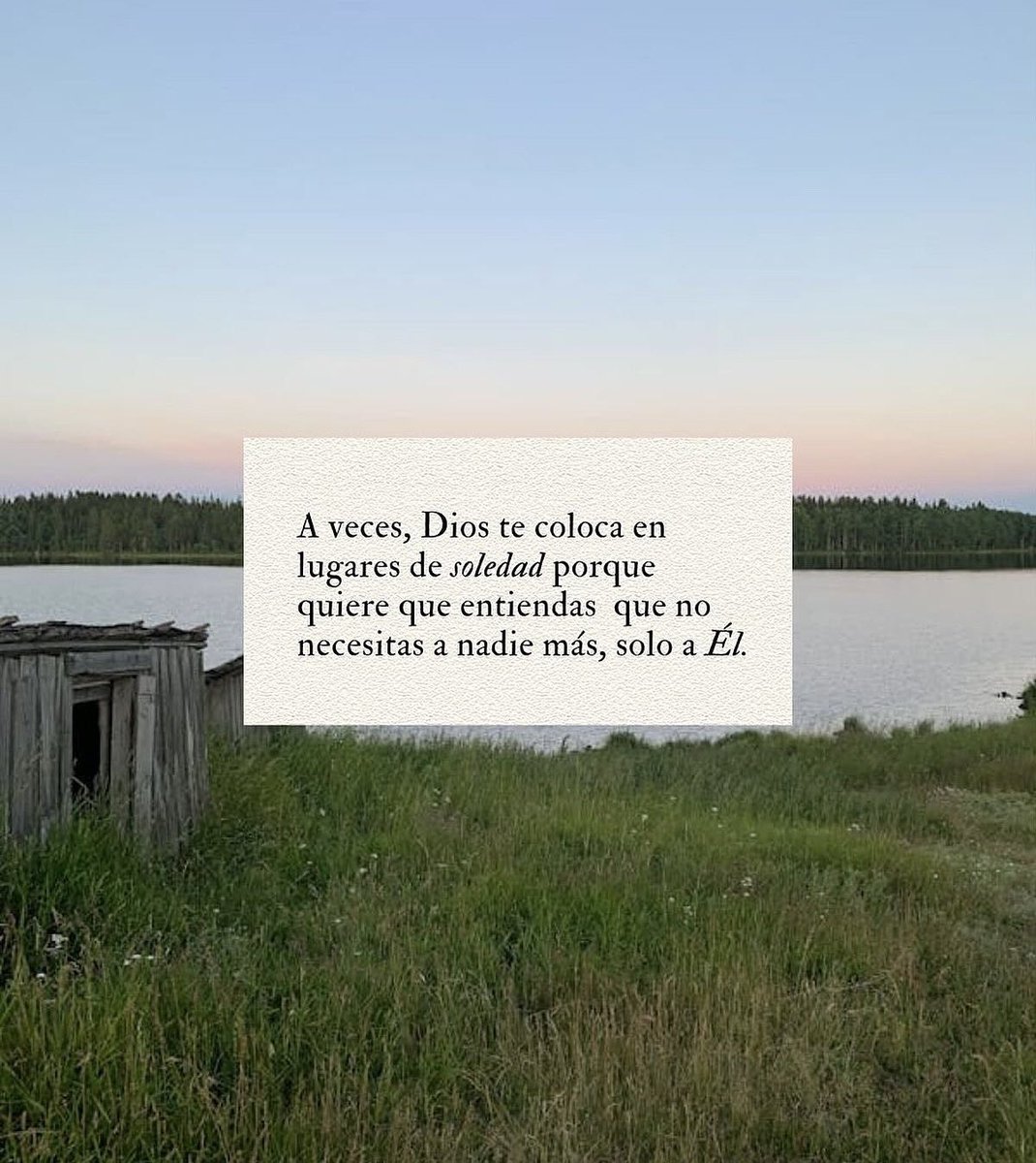 notasyfotos's tweet image. 