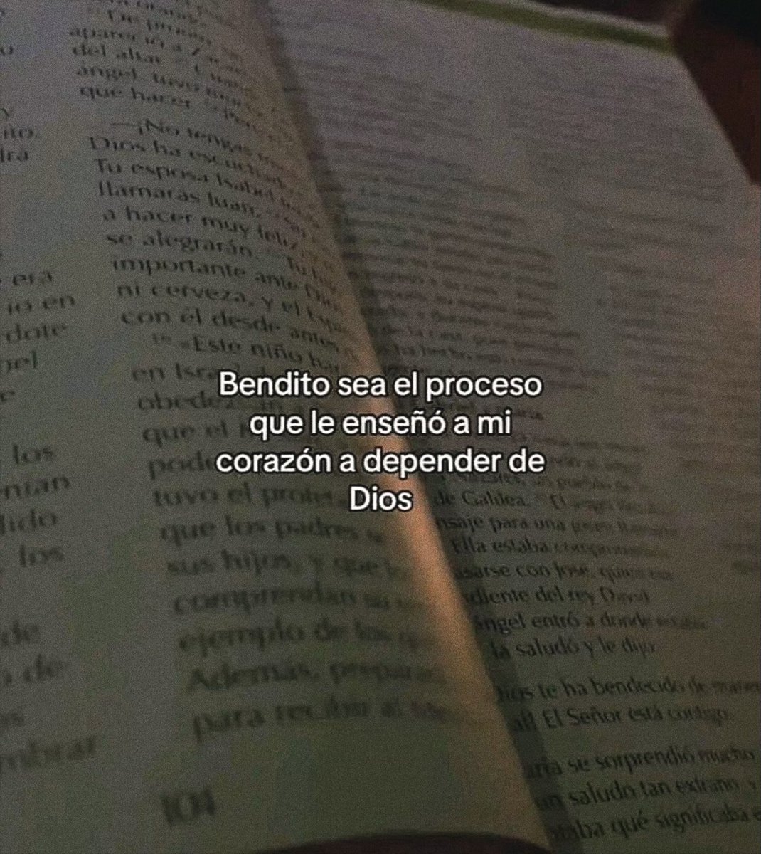 escritosnacion's tweet image. 