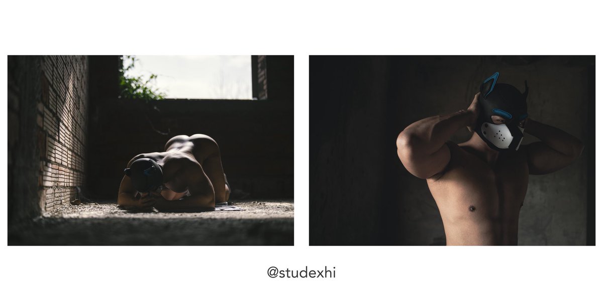 笨蛋小狗 tweet media