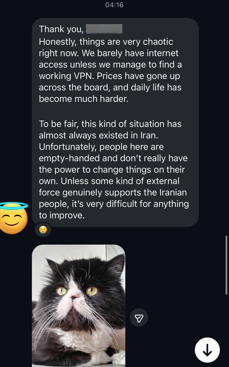 sweii 🇮🇷🇵🇫 tweet media