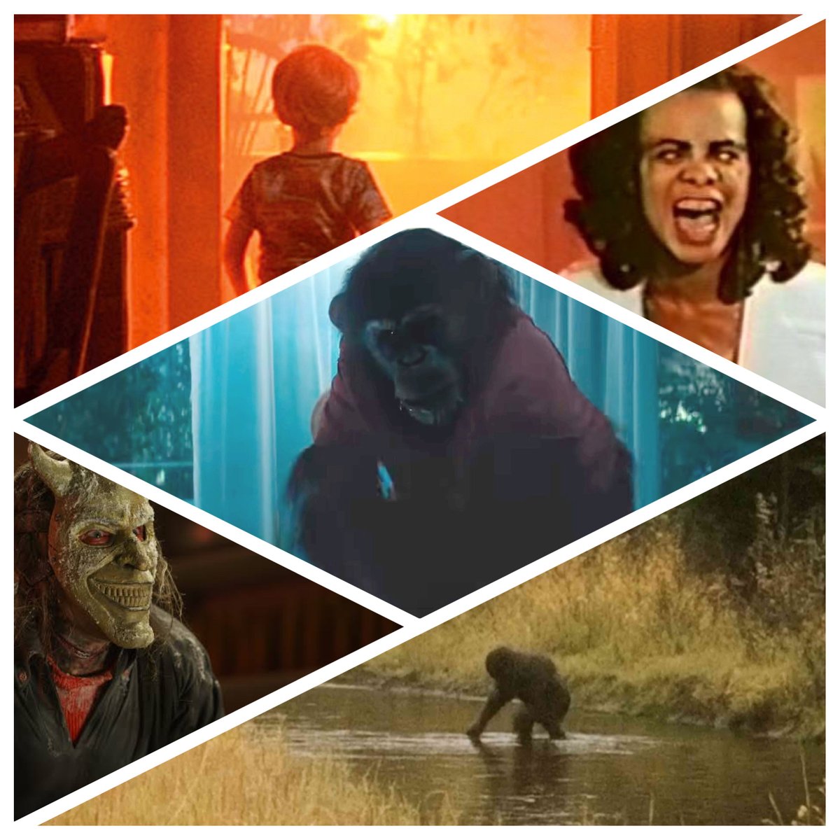 Final Guys tweet media