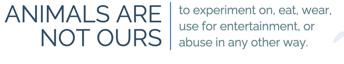 nancy colier tweet media