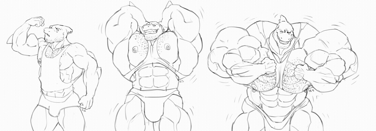 a pecs predator tweet media