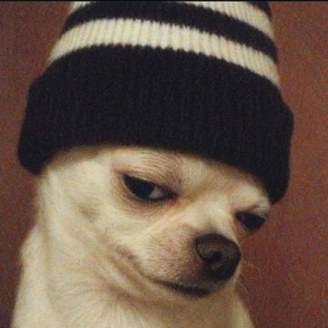 This Jon Cnow tweet media