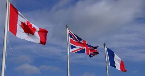 Quds News Network tweet media