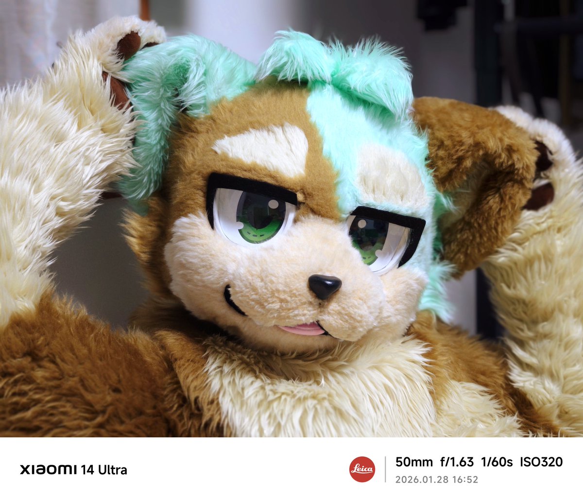 しろくま (@Shirokuma_4GLTE) / Posts / X