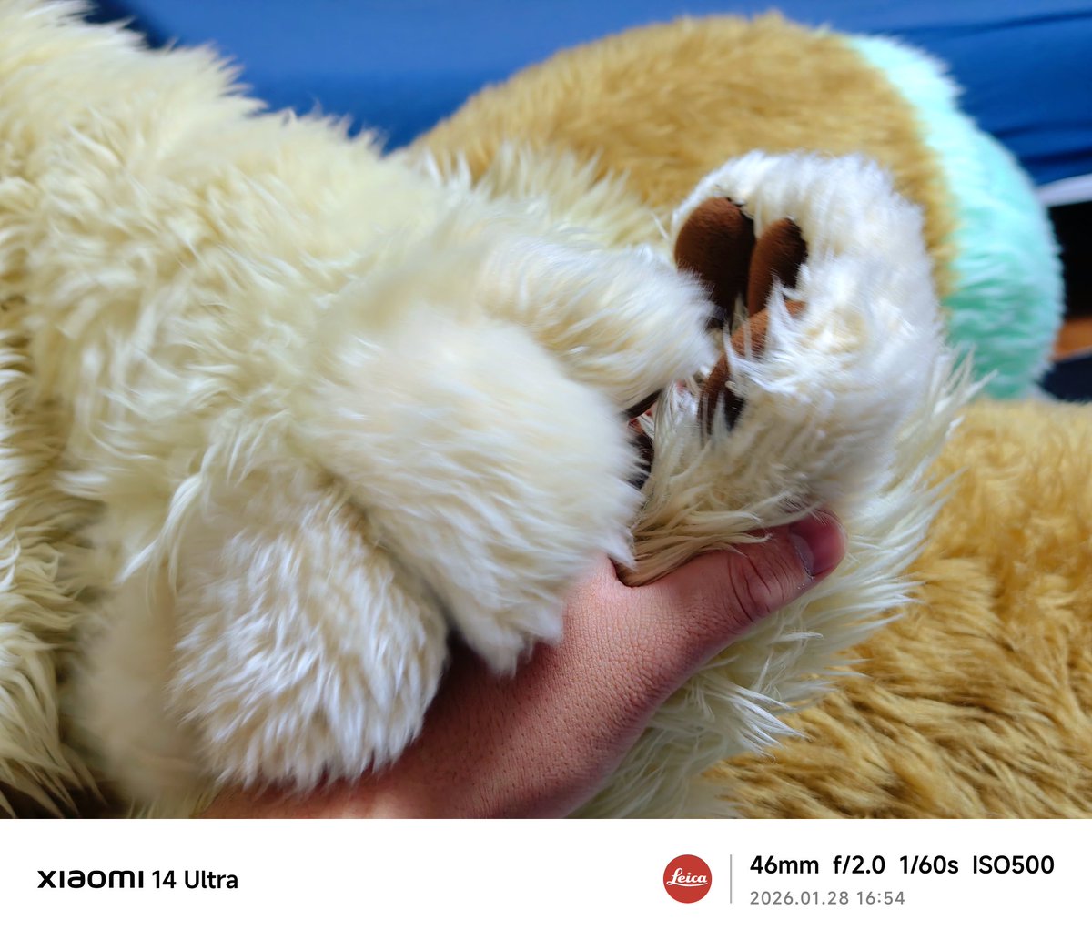 しろくま (@Shirokuma_4GLTE) / Posts / X