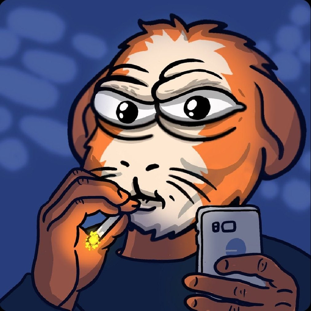 NZtrader369 🌙❄️⛩️🐹😀🍄🥜 tweet media