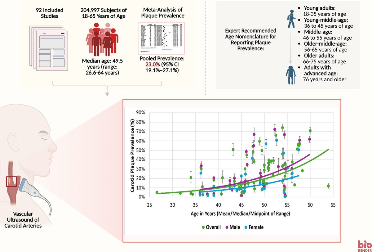 Cardiovascular Imaging Network at Queen's (CINQ) tweet media