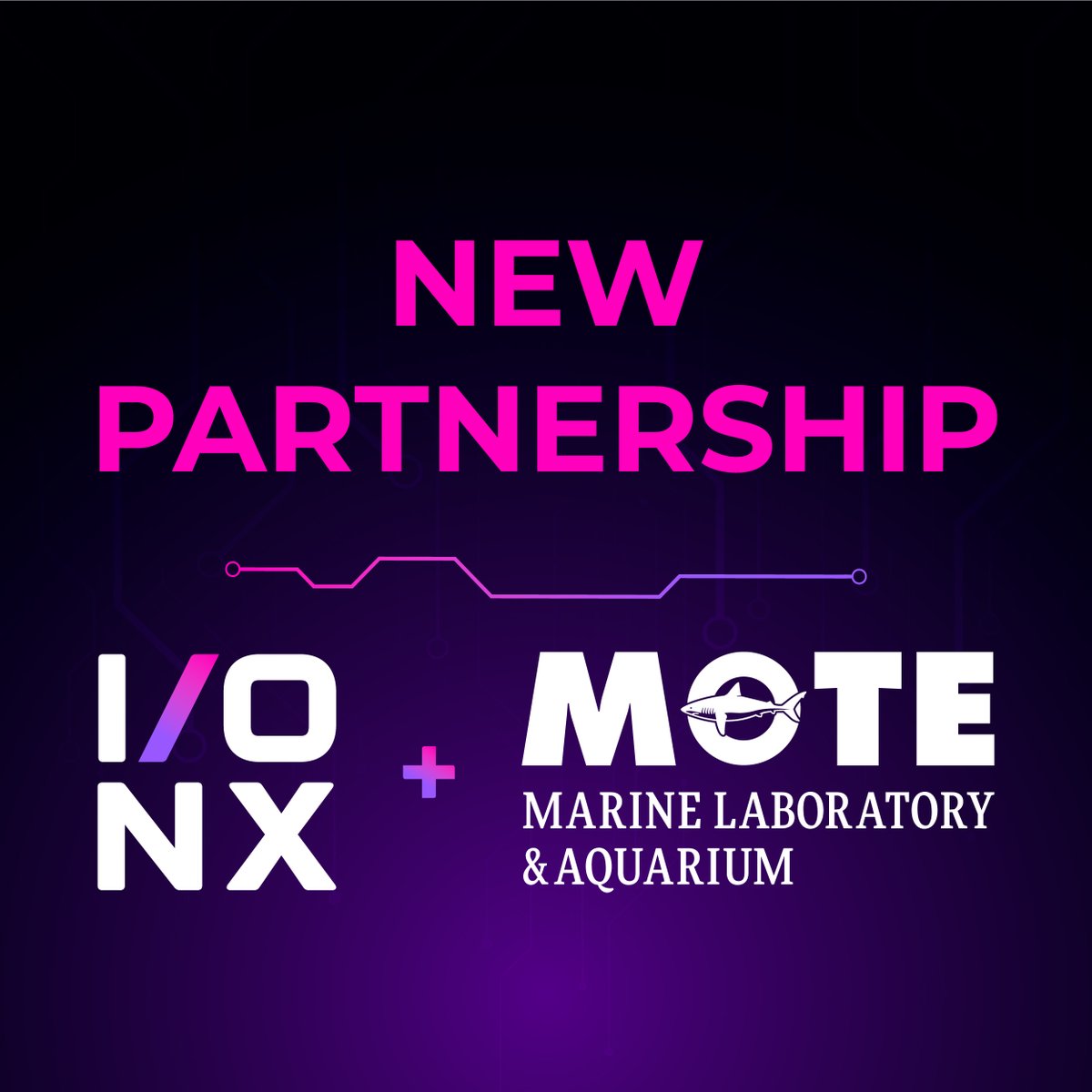 IONXHPC's tweet photo. I/ONX High Performance Compute (HPC) and Mote Marine Laboratory, Inc. (Mote) are partnering to incorporate AI and heterogeneous compute into marine research.

PR: https://t.co/Y9tg3bYZkt

#HPC #HeterogeneousComputing #AcceleratedComputing #DigitalSovereignty #ComputeAtScale https://t.co/ViqmjlAelw