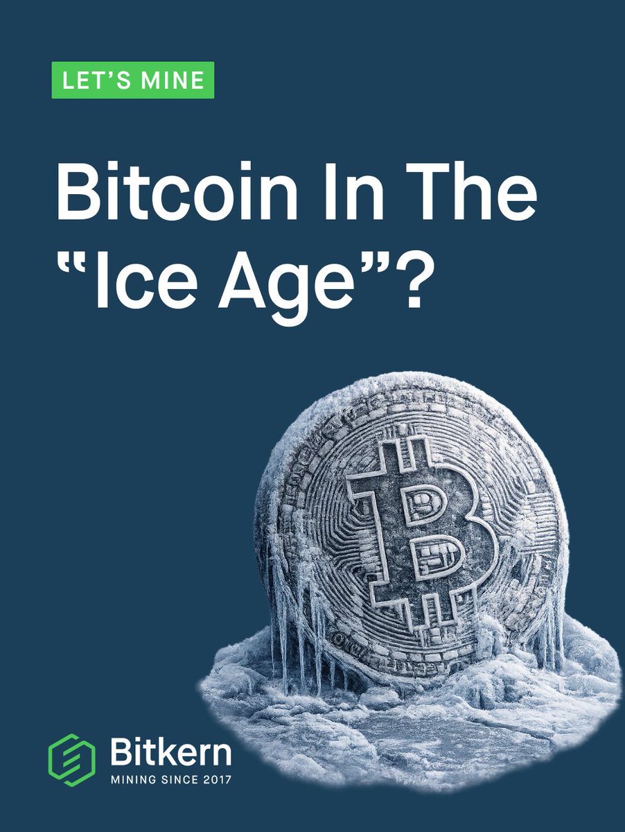 Bitkern Group tweet media