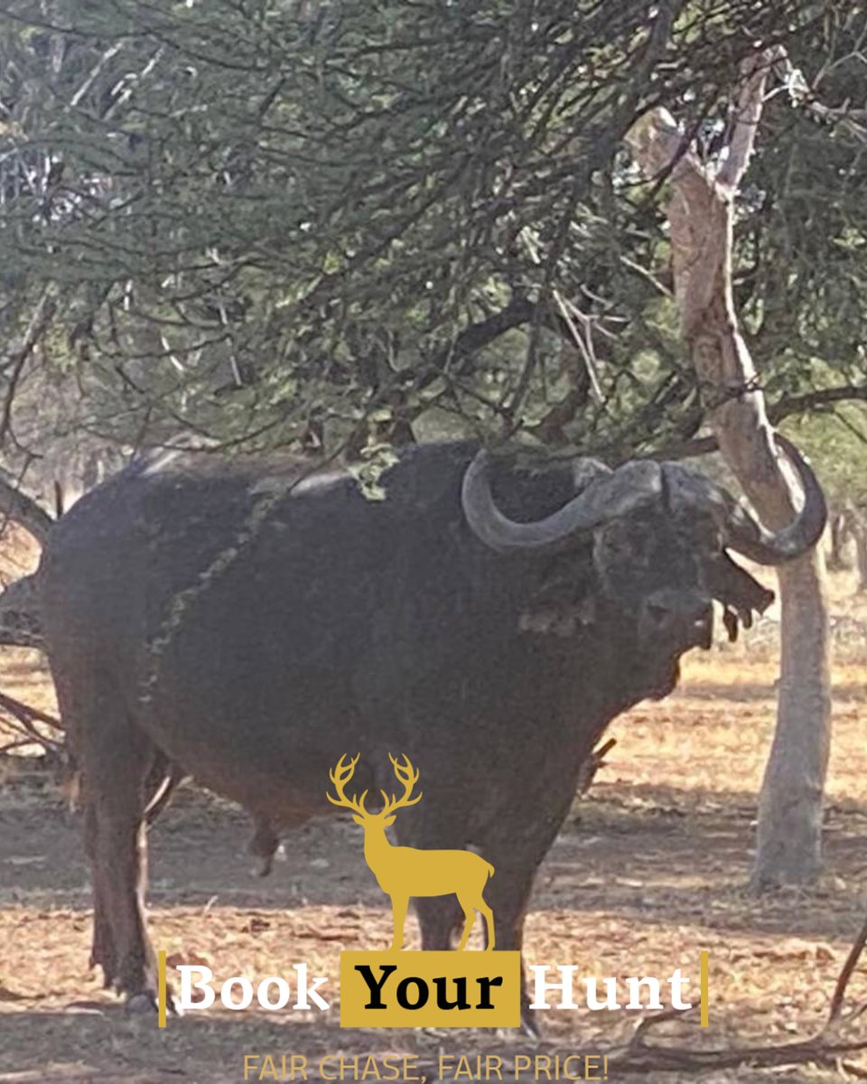 BookYourHunt tweet media