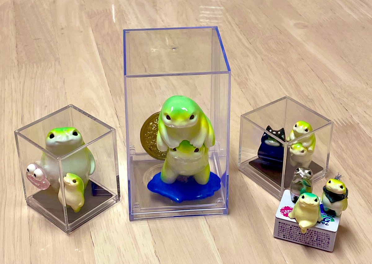ok_0w0's tweet photo. 本日ニバイちゃん届きましたー🐸🐸
また一つ幸せが増えました🫠
コインもありがとうございます🐘

#俺今日からかえる https://t.co/IWCieIIOjm