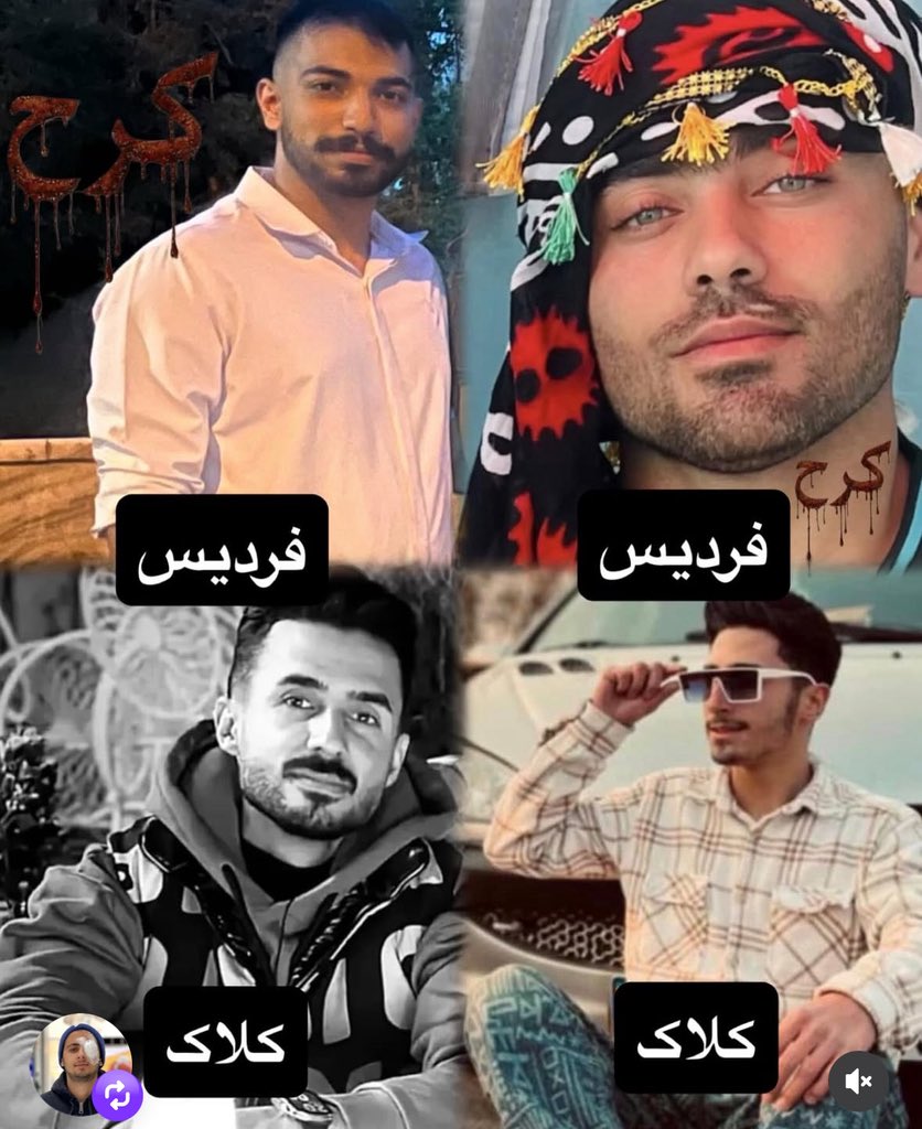 امام (ره) tweet media