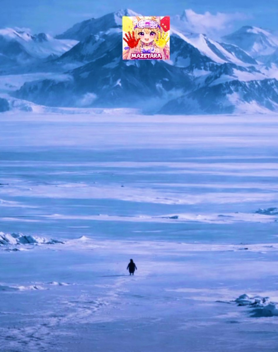 _2bcdefghij_'s tweet photo. Be the penguin

$Mazetara https://t.co/Rwf4JUQp2Y