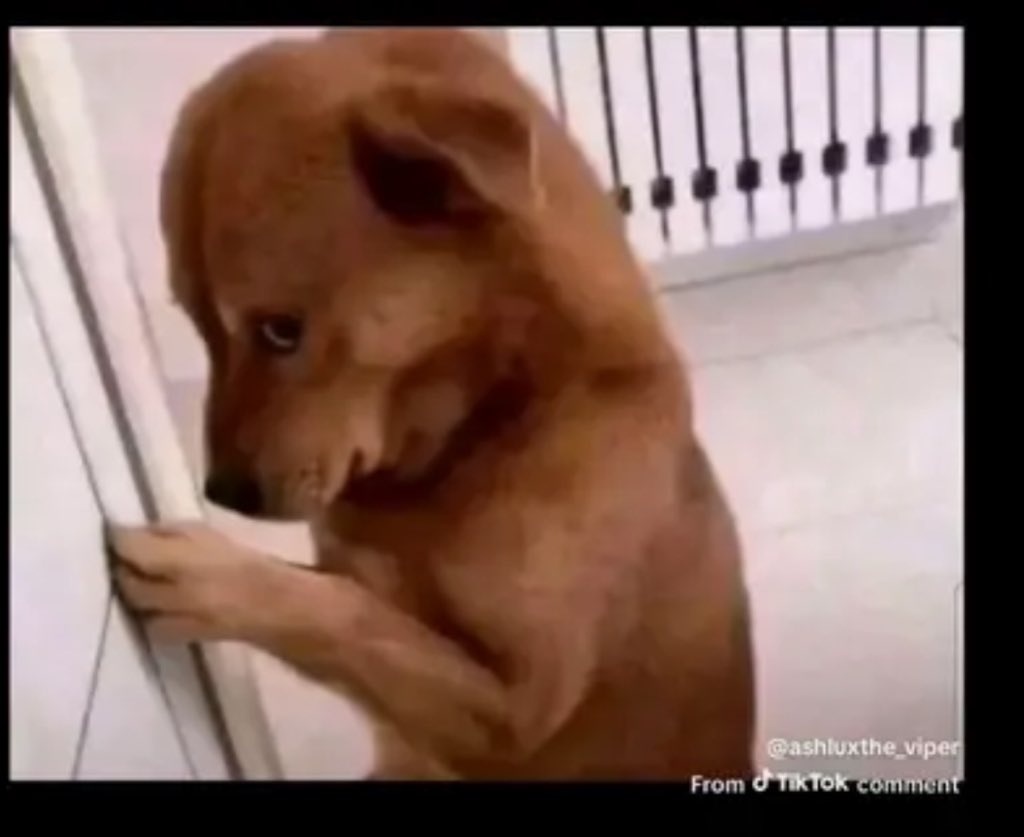 Wickedpresh's tweet image. So all the things wey happen for Bible... nobody go toilet?