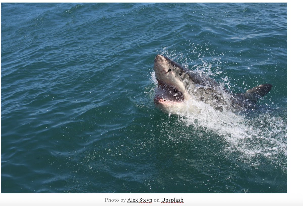 A poem about lawyers open.substack.com/pub/sarahbrenn…