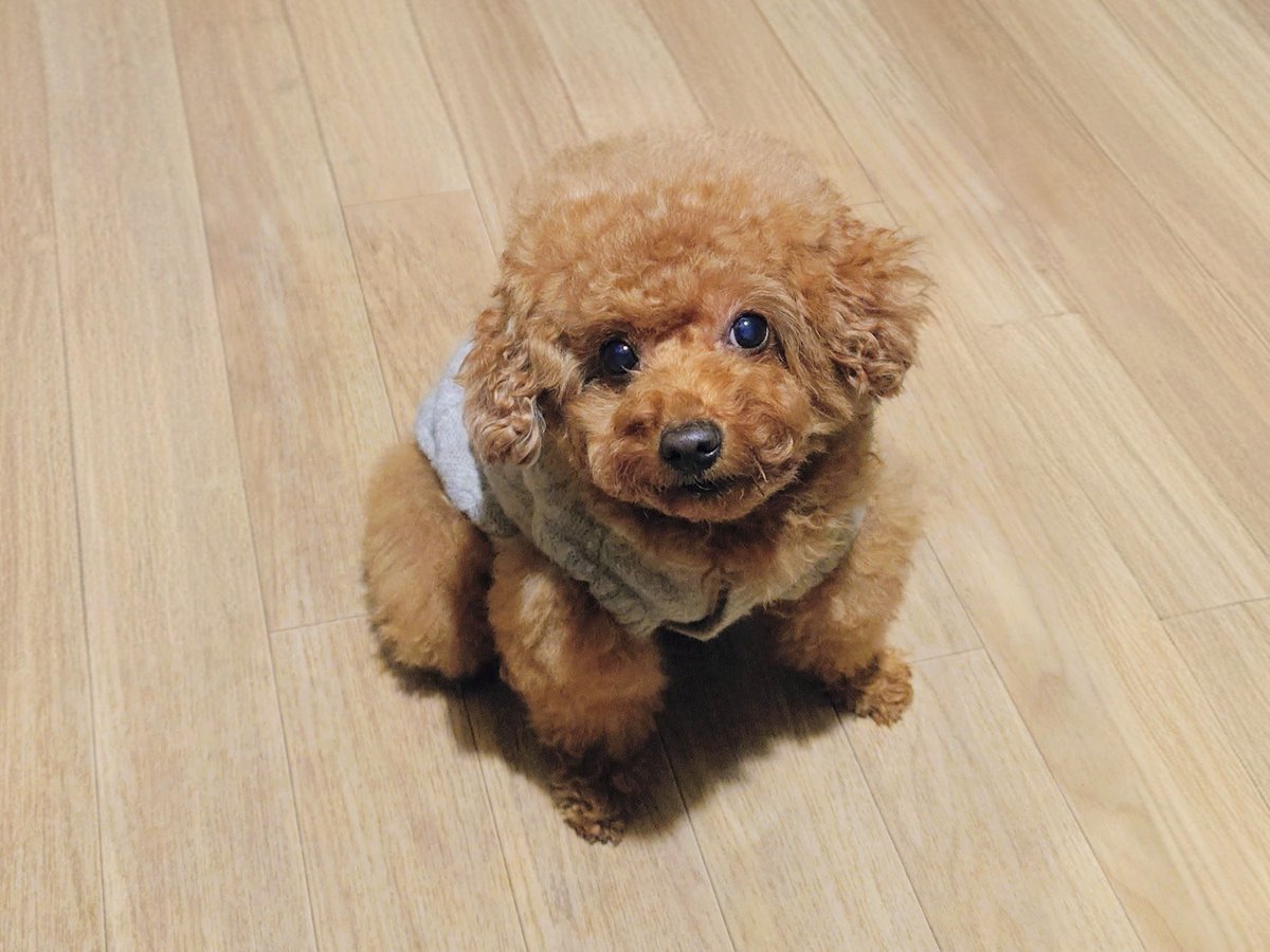 チャーリーママ (@rBjmuy6QTrhNw4U) / Posts / X