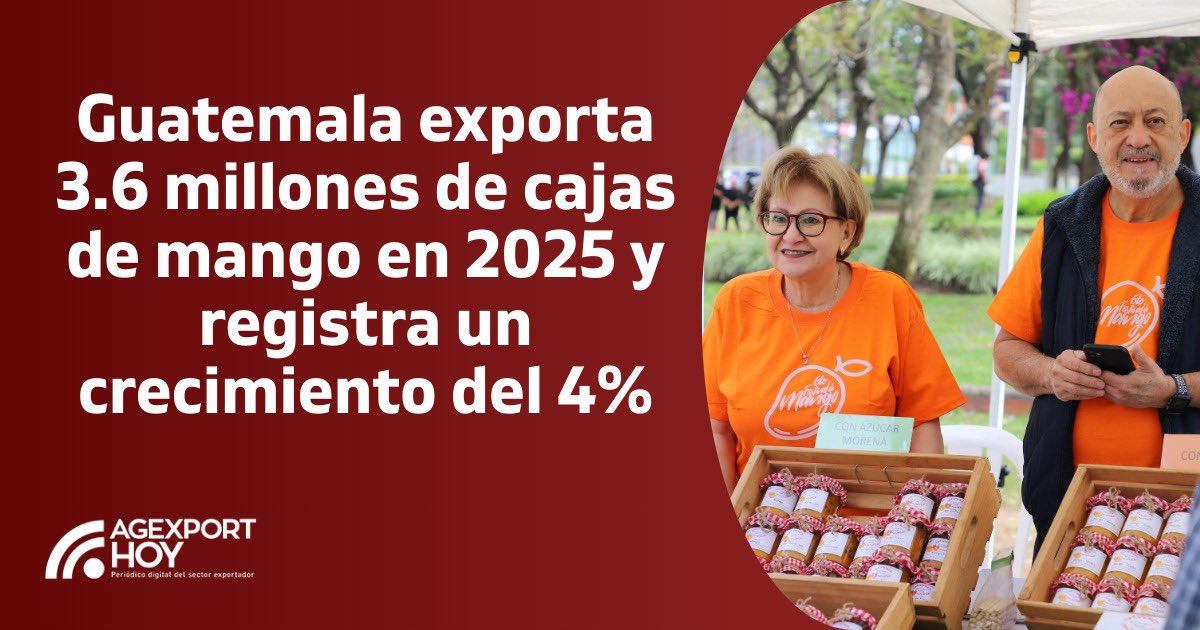 AGEXPORTGT's tweet photo. #AgexportHoy 🗞️| Guatemala exporta 3.6 millones de cajas de mango en 2025 y registra un crecimiento del 4%.
Aquí la nota ⬇️
https://t.co/Y8IrwEcvHv https://t.co/Tt1Hpn27HU