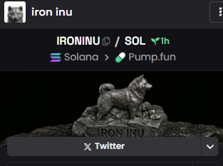 raquelrapozo's tweet photo. dex updated 

$IRONINU

4b9qY2iwsoHFfzCeivkPPBofdxnbi69KQ2jzgtympump https://t.co/2BcqzzZooB