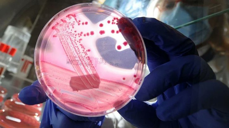 İspanyol bilim insanları, 3 ilacın birleşimi sayesinde pankreas kanserinin tamamen ortadan kaldırılmasını sağladı.