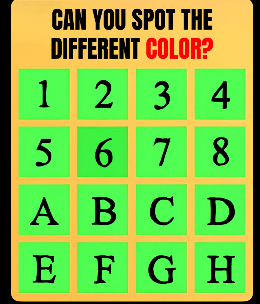 Michelle Labs tweet media