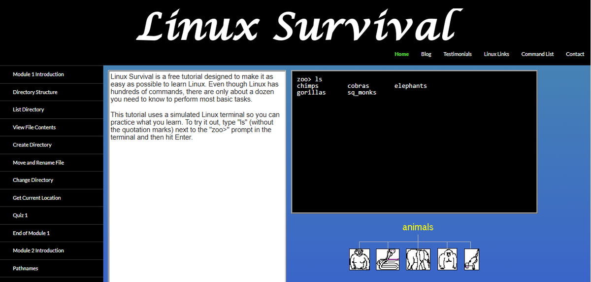 MaimoonaMa9422's tweet image. Assignment-16
🎥 GIAIC Class Q4 (Sunday 6-9)

🐧 Linux on Ubuntu (WSL2)
📘 Read: Linux Survival – Module 1 &amp;amp; 2
💻 Practice locally on WSL2

🔥 Learn by doing
🔁 Practice builds confidence

Sir: @0xAsharib  &amp;amp; @itxx_naeem

#GIAIC #Class16 #Linux #Ubuntu #WSL2 #DevLife #Learning