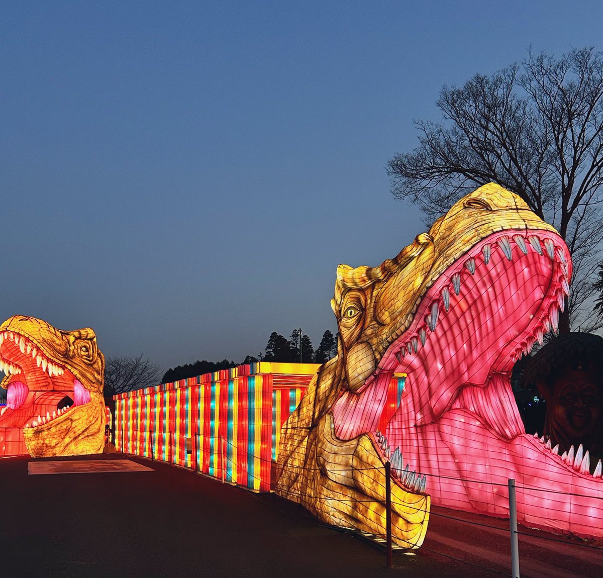 ゆりっぺ (@kanon0913yk) / Posts / X