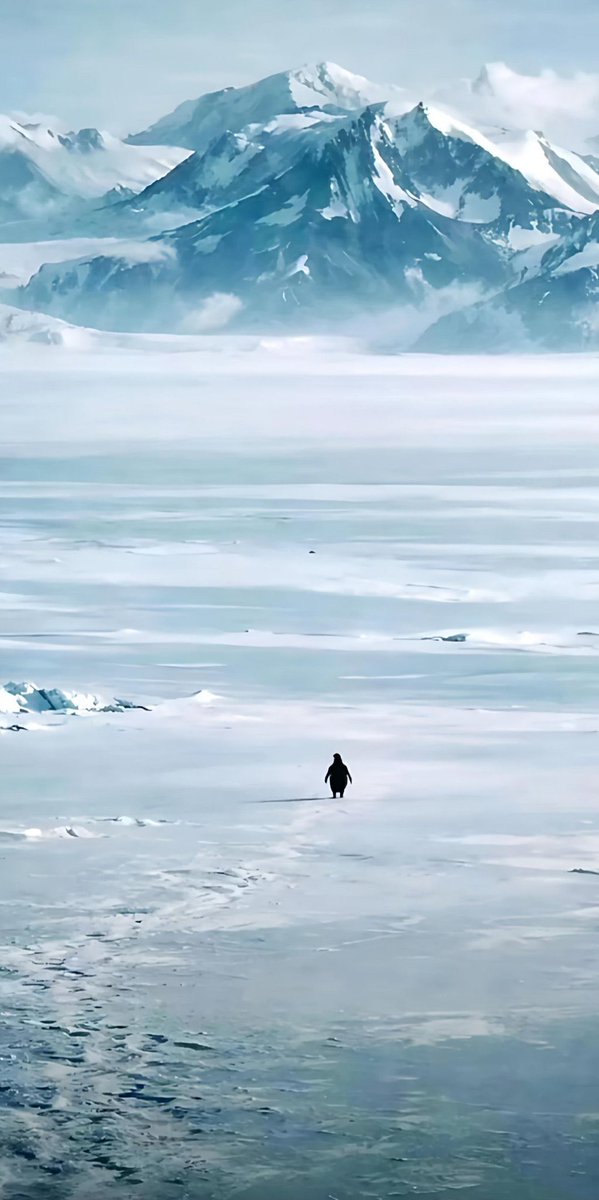 Yalnız Penguen 2007’de çekildi.
2026’da anlaşıldı.
Geç gelen anlayış vicdan değil, korkaklıktır.
KHK’lılar da yıllar sonra “anlaşılacak”.
Ama o gün geldiğinde ne hayat kalacak ne adalet.
Bunun adı geç kalmış utançtır.