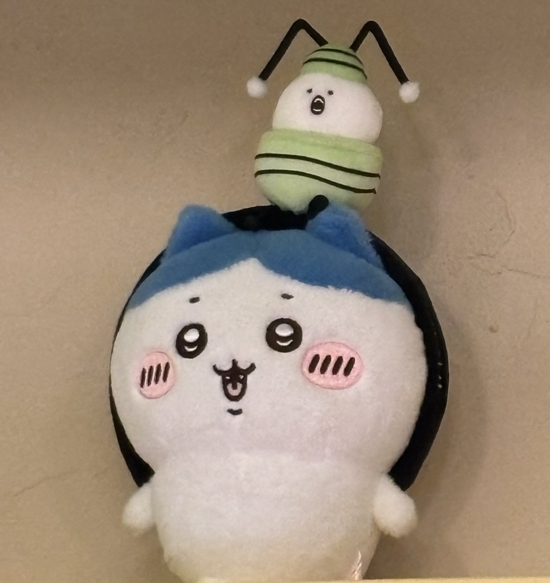 きゅあ tweet media