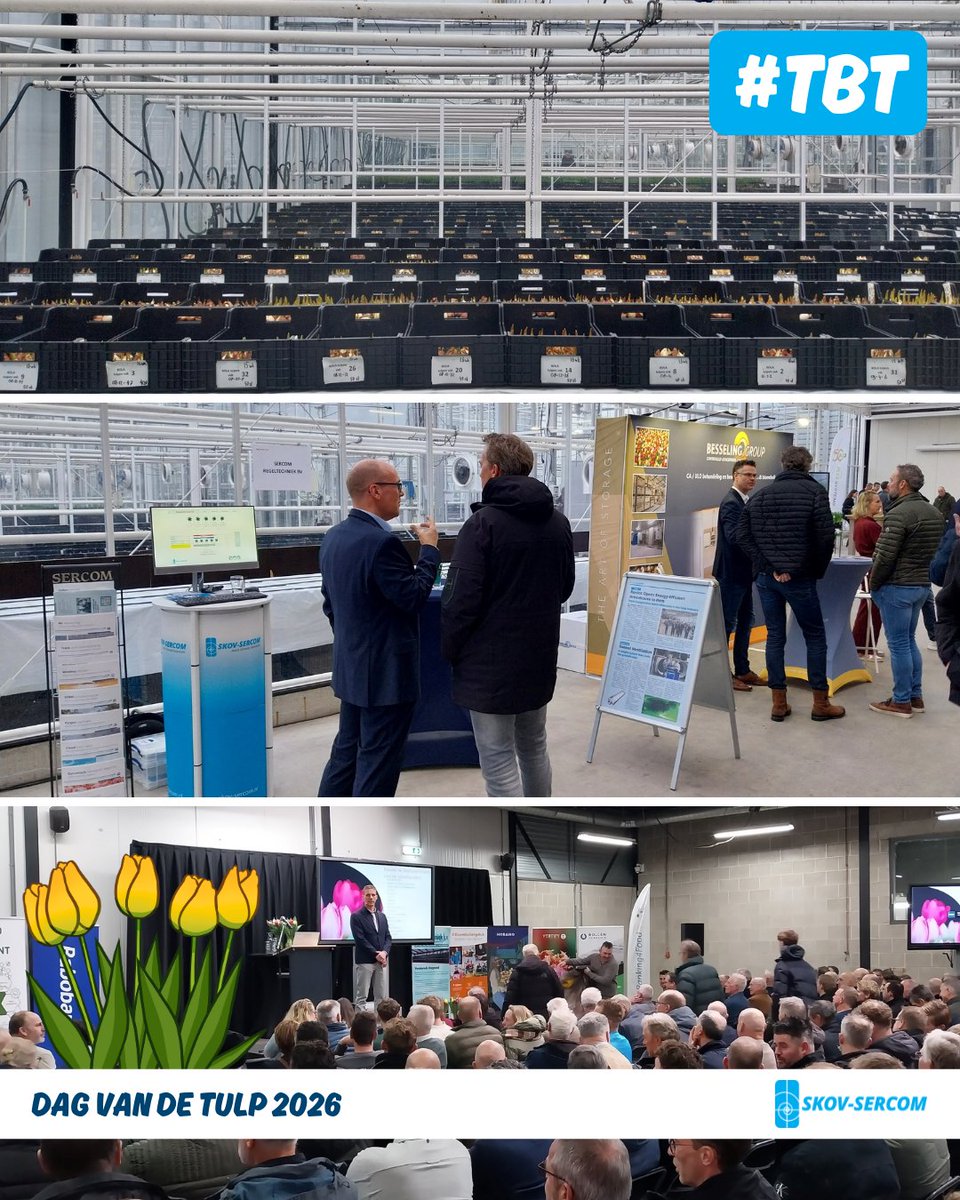 #tbt naar een succesvolle Dag van de Tulp 🌷